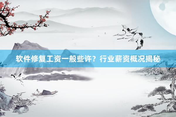 软件修复工资一般些许？行业薪资概况揭秘
